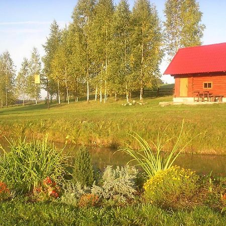 Brivdienu Maja Viteri Villa Biksiniki Exterior photo